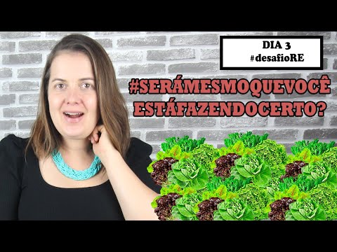 #desafioRE | DIA.3 | As escolhas de hoje vão ditar o seu futuro | Priscila Schulz